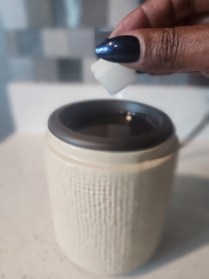 Sea Salt and Dark Musk Wax Melts
